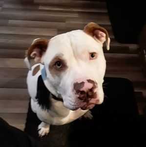 Meet your Posher, Janell